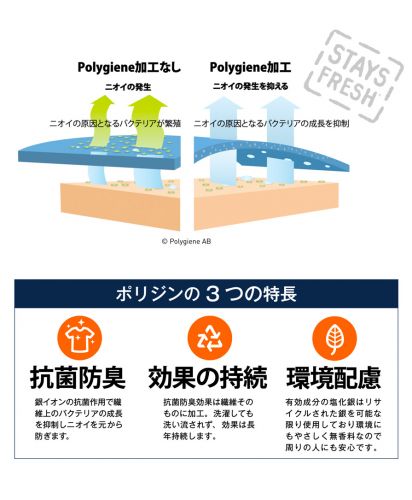 4.3オンスドライボタンダウンポロシャツ(ポリジン加工)/ポリジンの説明